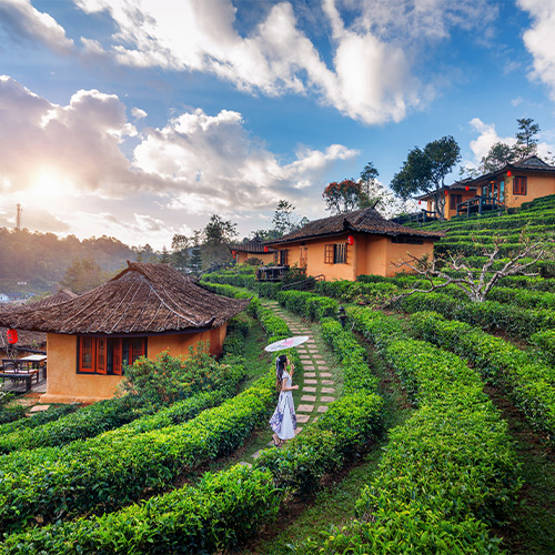 Munnar Munnar